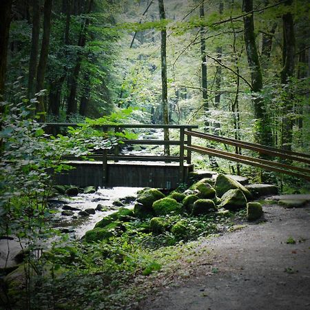 Fewo Kedo Neukirchen vorm Wald Exteriér fotografie