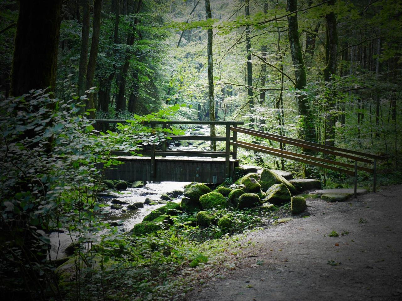 Fewo Kedo Neukirchen vorm Wald Exteriér fotografie