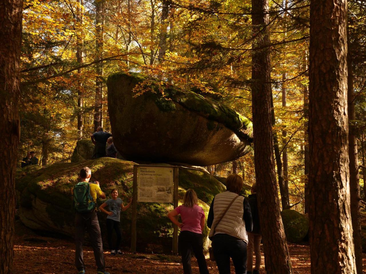 Fewo Kedo Neukirchen vorm Wald Exteriér fotografie