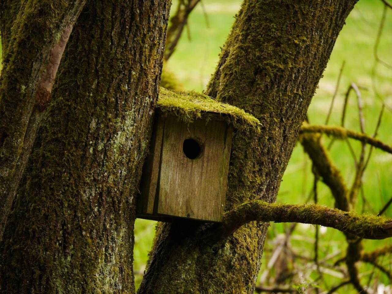 Fewo Kedo Neukirchen vorm Wald Exteriér fotografie