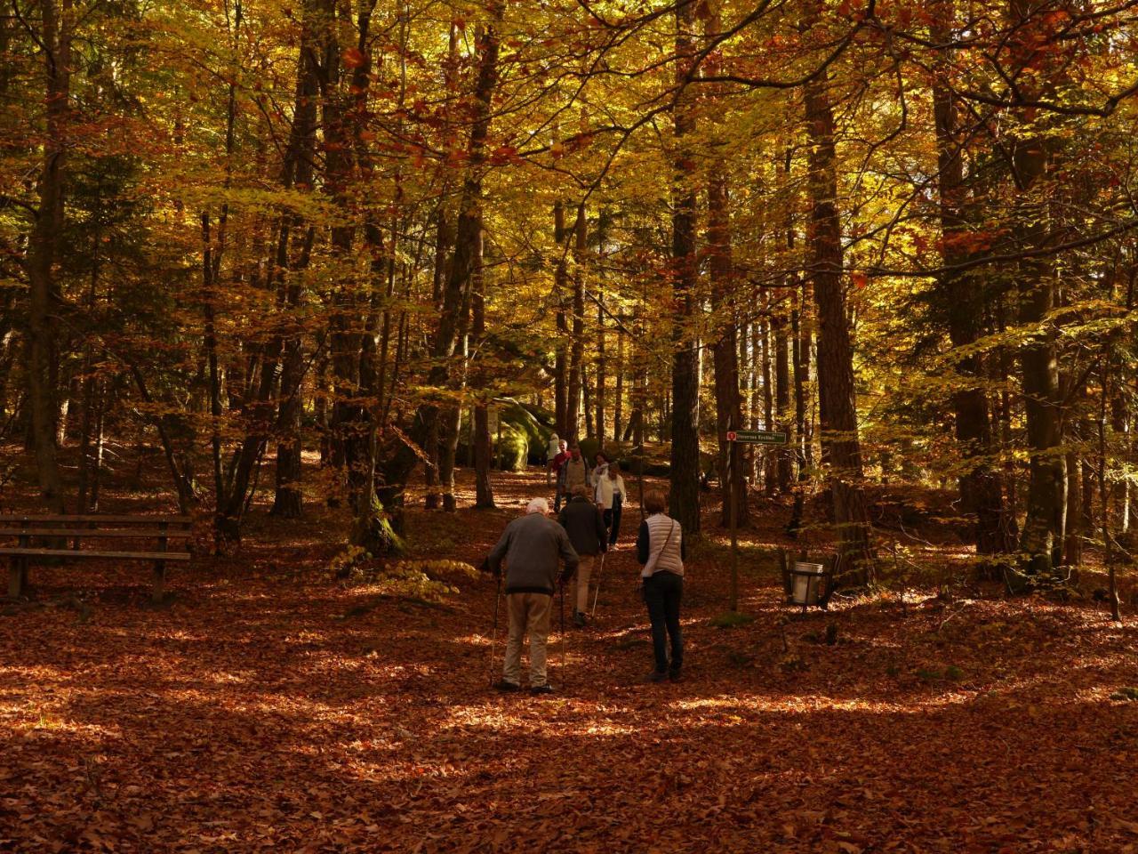 Fewo Kedo Neukirchen vorm Wald Exteriér fotografie