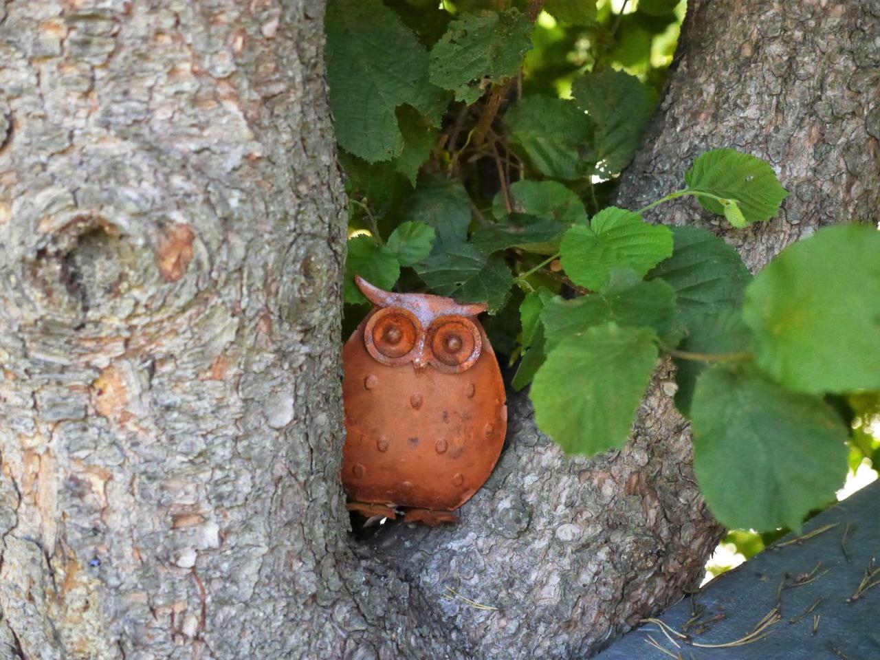 Fewo Kedo Neukirchen vorm Wald Exteriér fotografie